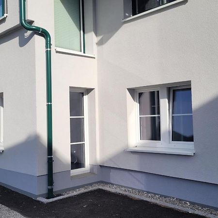 Pension Edelweiss, Apartment Amsterdam 4-6 Pers Гозау Екстер'єр фото
